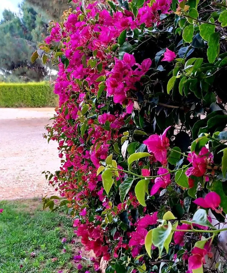 Quinta De Loubite Villa Lagoa  0*, Lagoa (Algarve)