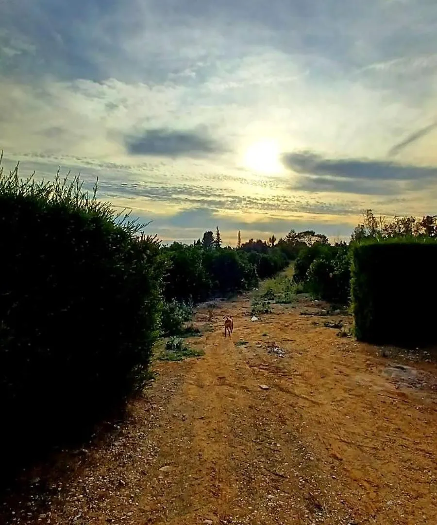 Farm stay Quinta De Loubite Villa Lagoa