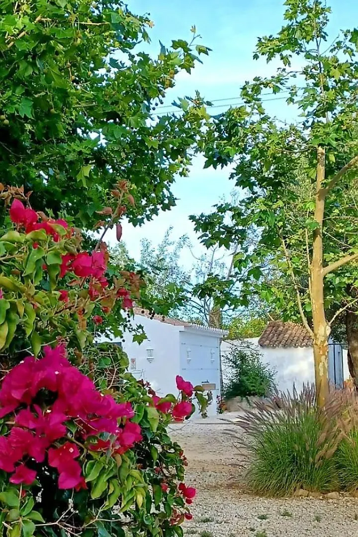 Quinta De Loubite Villa Lagoa  Farm stay