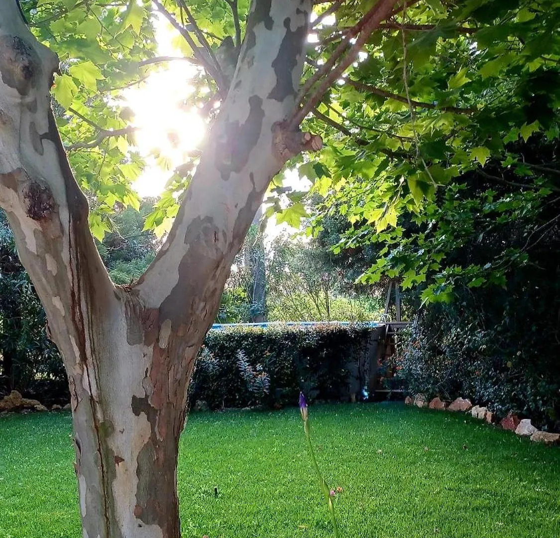 Quinta De Loubite Villa Lagoa  Farm stay Lagoa (Algarve)