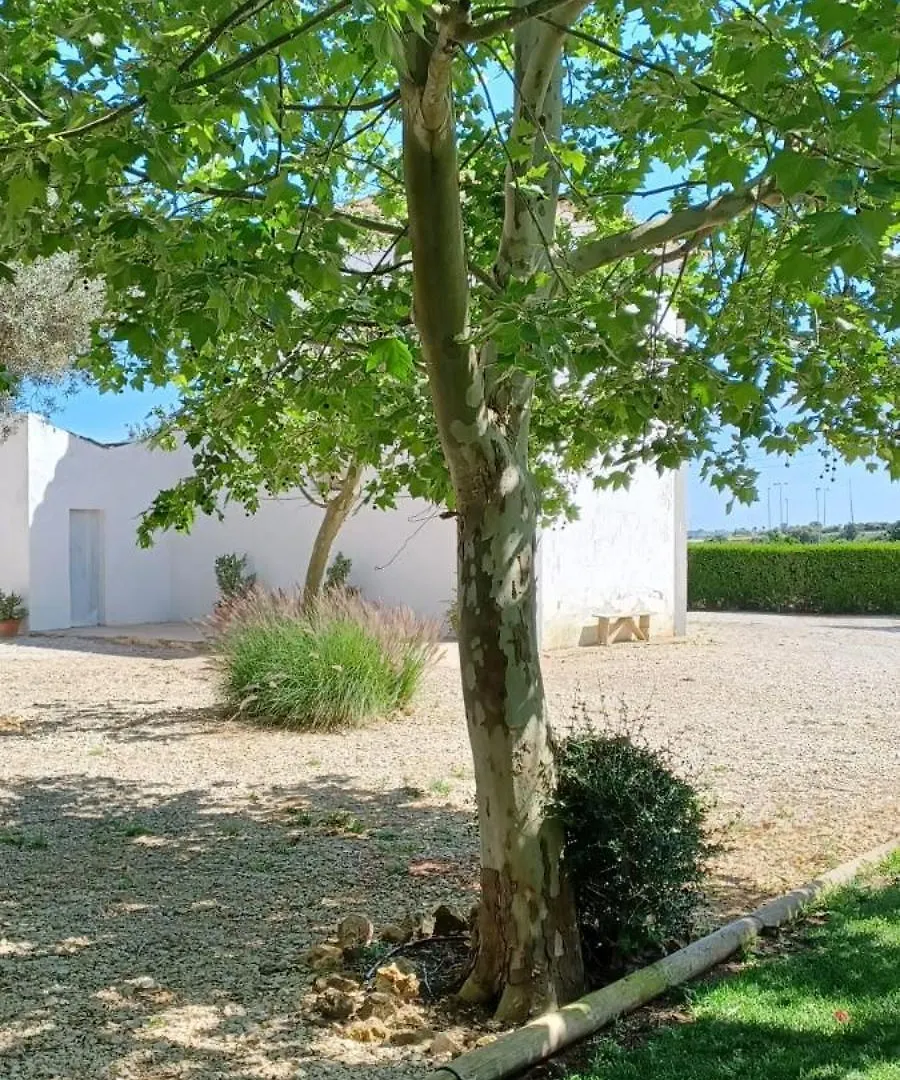 Farm stay Quinta De Loubite Villa Lagoa
